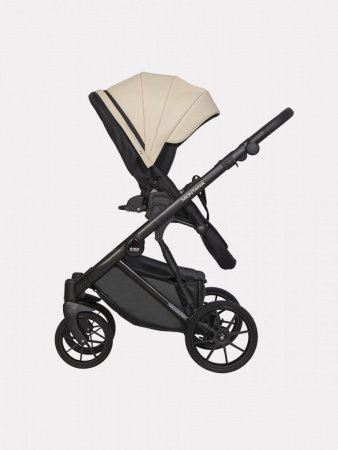 Детская коляска Riko Basic Montana Ecco 2 в 1