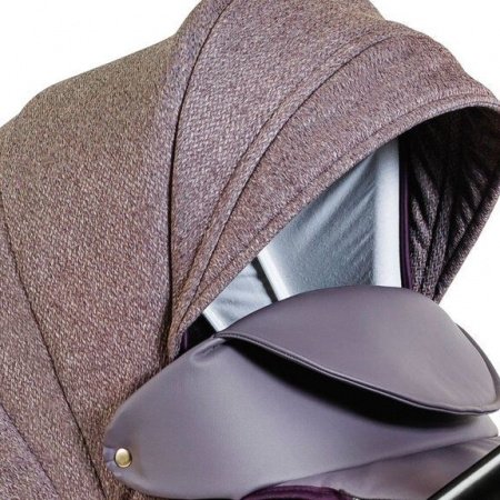 Детская коляска ALIS Camaro 2 в 1