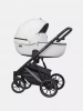 Детская коляска Riko Basic Montana Premium Silver 2 в 1