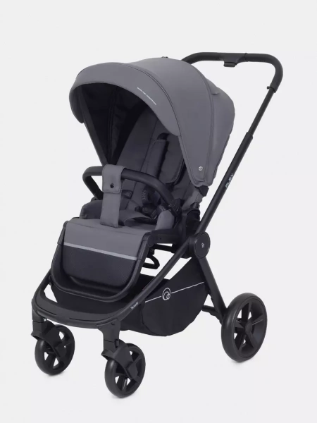 Прогулочная коляска Rant Flex 2025
