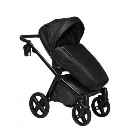 Детская коляска LONEX EMOTION XT ECO 2 в 1