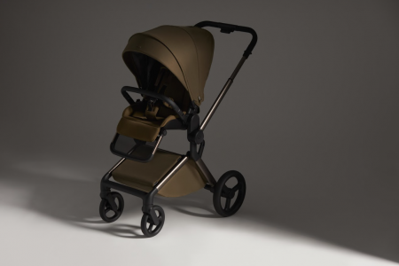 Детская коляска Anex Flo 2 в 1