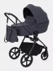 Детская Коляска Rant Teo Chrome 2 в 1
