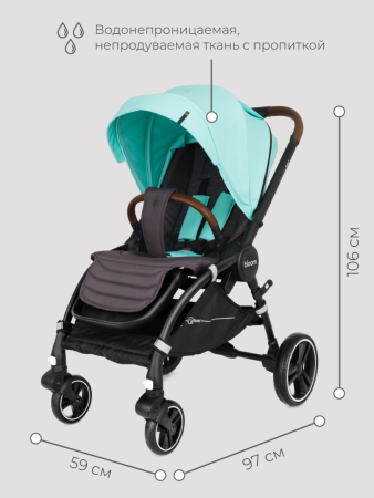 Прогулочная коляска Rant Bloom Star