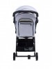 Прогулочная коляска Anex Air-X