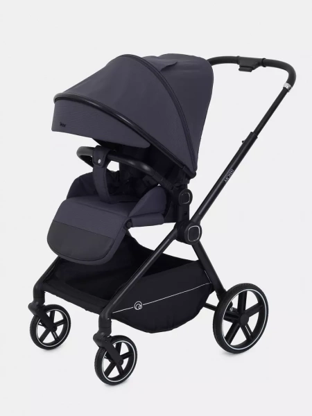 Прогулочная коляска Rant Moss