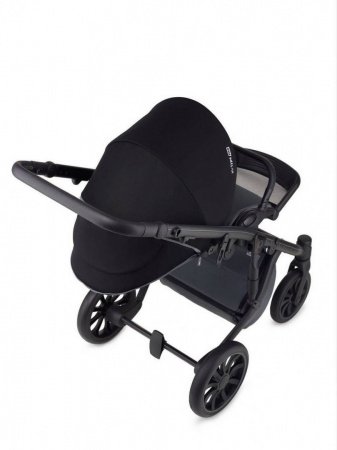 Детская коляска Anex m/type Pro 2 в 1