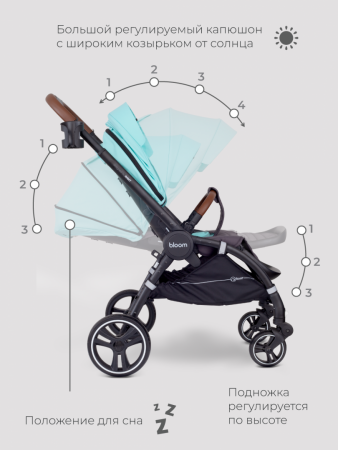 Прогулочная коляска Rant Bloom Star