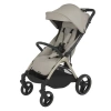 Прогулочная коляска Espiro Flow