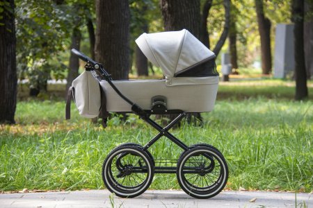 Детская коляска Noordline Nicole Classic Black 2 в 1