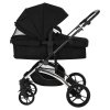 Детская коляска трансформер Pituso  MIKKI