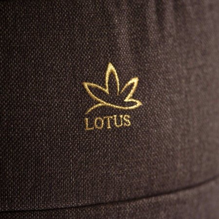 Детская коляска ESPERANZA LOTUS Boss Sport 3 в 1