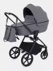 Детская Коляска Rant Teo 2 в 1