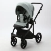 Детская коляска Adamex Lumi Air 2 в 1