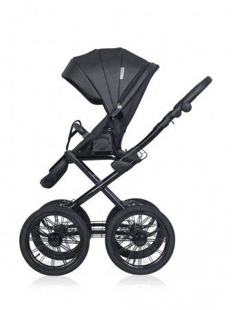 Детская коляска  Riko Basic Montana Ecco Prestige 3 в 1