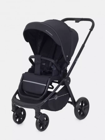 Прогулочная коляска Rant Flex 2025