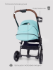 Прогулочная коляска Rant Bloom Star