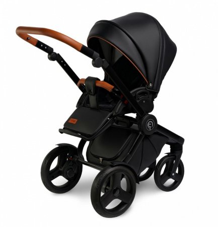 Детская коляска VERDI Futuro  2 в 1