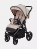 Прогулочная коляска Rant Caspia 2025