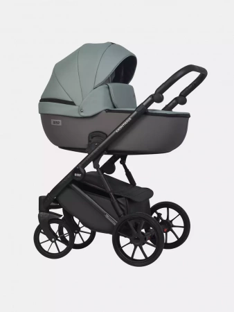 Детская коляска Riko Basic Montana Ecco 2 в 1