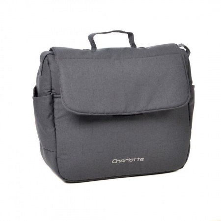 Детская коляска Indigo Charlotte Sity 2в1