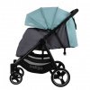 Прогулочная коляска  Indigo Assana