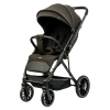 Прогулочная коляска Indigo Delta