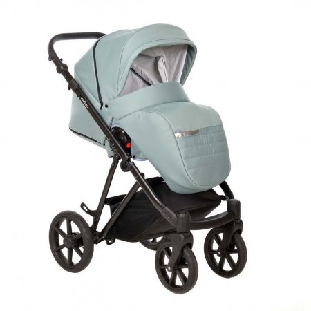 Детская коляска Indigo Aveo 2 в 1