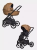 Детская коляска Riko Basic Montana Ecco 2 в 1