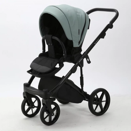 Детская коляска Adamex Lumi Air Eco 2 в 1
