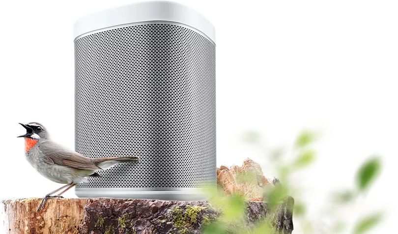 Баннер с товаром